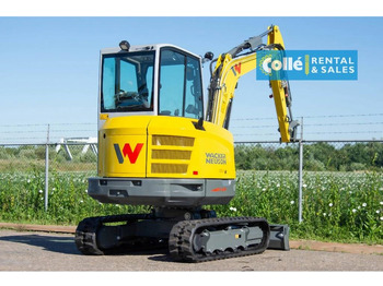 NEU: Minibagger WACKER NEUSON ET35 | 2022: das Bild 4