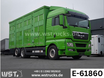 MAN TGX 26.480 Pferdetransporter