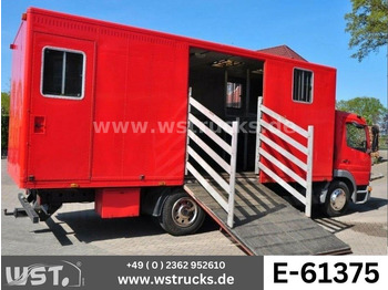 MERCEDES-BENZ Pferdetransporter