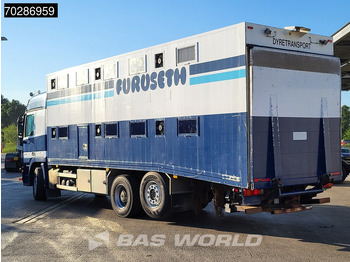 Tiertransporter LKW Mercedes-Benz Actros 2541 Actros 6X2 Retarder Lift+Lenkachse Ladebordwand Euro 4: das Bild 2