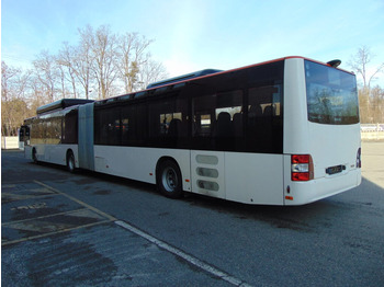 Gelenkbus N.3 MAN LION’S CITY GL CNG – Anno 2014: das Bild 4