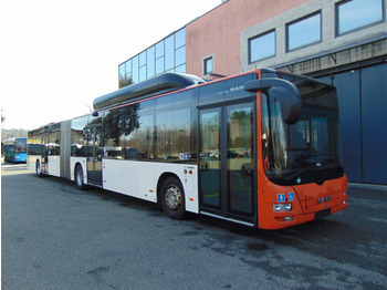 MAN Lion's City Gelenkbus
