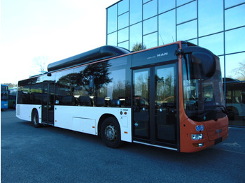 MAN Lion's City Linienbus