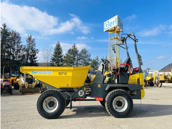 NEUSON Mini-Kipper