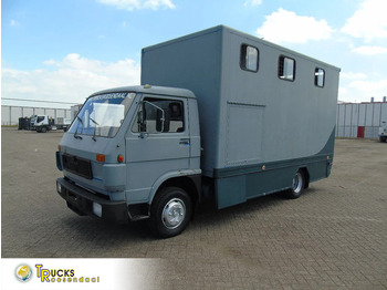MAN Pferdetransporter