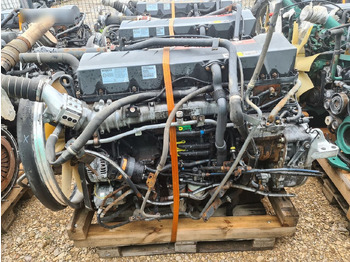 RENAULT Magnum Motor