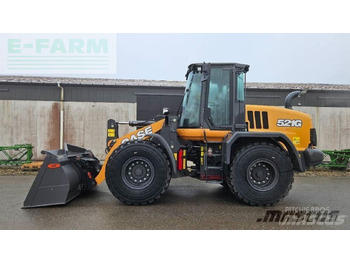 CASE Minibagger