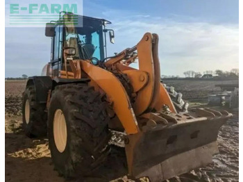 CASE Minibagger