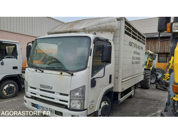 ISUZU Tiertransporter LKW