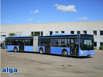 MAN Lion's City A23 Gelenkbus