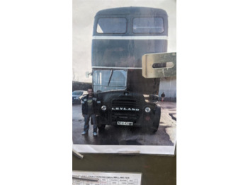 Doppeldeckerbus