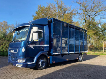 DAF LF 280 Tiertransporter LKW