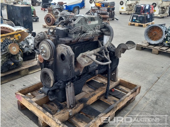 Motor