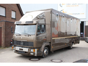 MERCEDES-BENZ Pferdetransporter