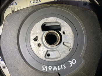 Lenkrad Iveco 2010: das Bild 2 Lenkrad Iveco 2010: das Bild 2