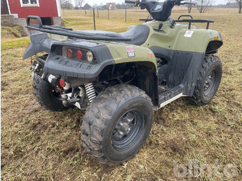 Quad CECTEC GLADIATOR: das Bild 3 Quad CECTEC GLADIATOR: das Bild 3