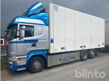 SCANIA R 580 LKW