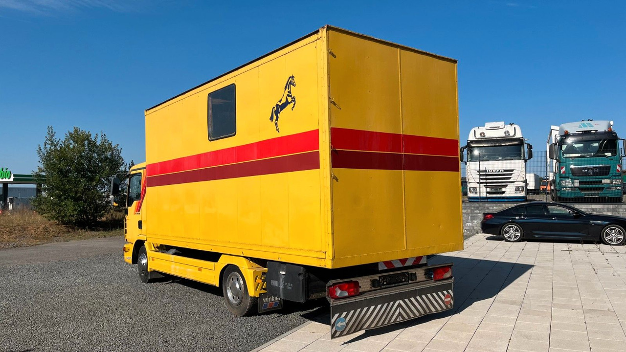 MAN TGL 10.180 Euro 4 Pferdetransporter Horse MAN TGL 10.180 Euro 4 Pferdetransporter Horse - Pferdetransporter: das Bild 5 MAN TGL 10.180 Euro 4 Pferdetransporter Horse MAN TGL 10.180 Euro 4 Pferdetransporter Horse - Pferdetransporter: das Bild 5