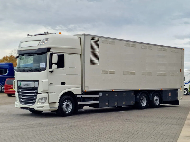 DAF XF 440 SuperSpaceCab 6x2*4 - 2 deck Closed Livestock - 40M2 - Filtersystem - Tiertransporter LKW: das Bild 3 DAF XF 440 SuperSpaceCab 6x2*4 - 2 deck Closed Livestock - 40M2 - Filtersystem - Tiertransporter LKW: das Bild 3