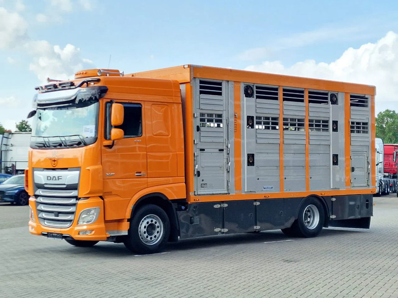 DAF XF 530 4x2 - Livestock Menke 2 deck water & ventilation - Tiertransporter LKW: das Bild 5 DAF XF 530 4x2 - Livestock Menke 2 deck water & ventilation - Tiertransporter LKW: das Bild 5