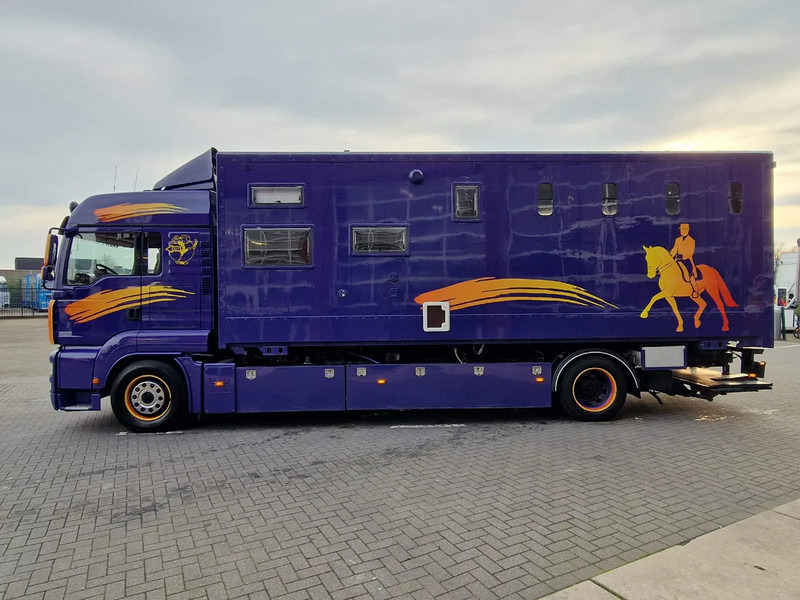 MAN TGA 18.360 4x2 - Horse truck + full camper - 4 seats - Loadramp - Automatic gearbox - Pferdetransporter: das Bild 5 MAN TGA 18.360 4x2 - Horse truck + full camper - 4 seats - Loadramp - Automatic gearbox - Pferdetransporter: das Bild 5