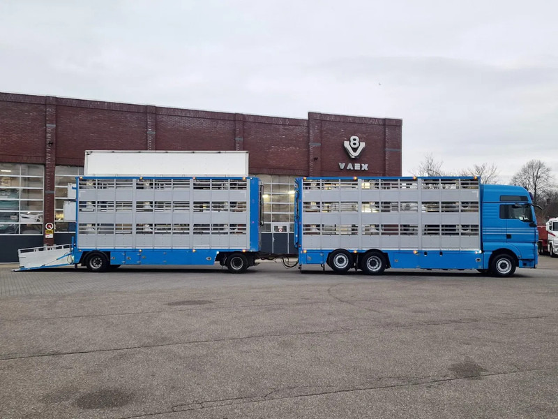 MAN TGX 26.440 6x2*4 - 3 deck Livestock - Water & Ventilation + Jumbo/Bekkers 3 deck trailer - Tiertransporter LKW: das Bild 3 MAN TGX 26.440 6x2*4 - 3 deck Livestock - Water & Ventilation + Jumbo/Bekkers 3 deck trailer - Tiertransporter LKW: das Bild 3