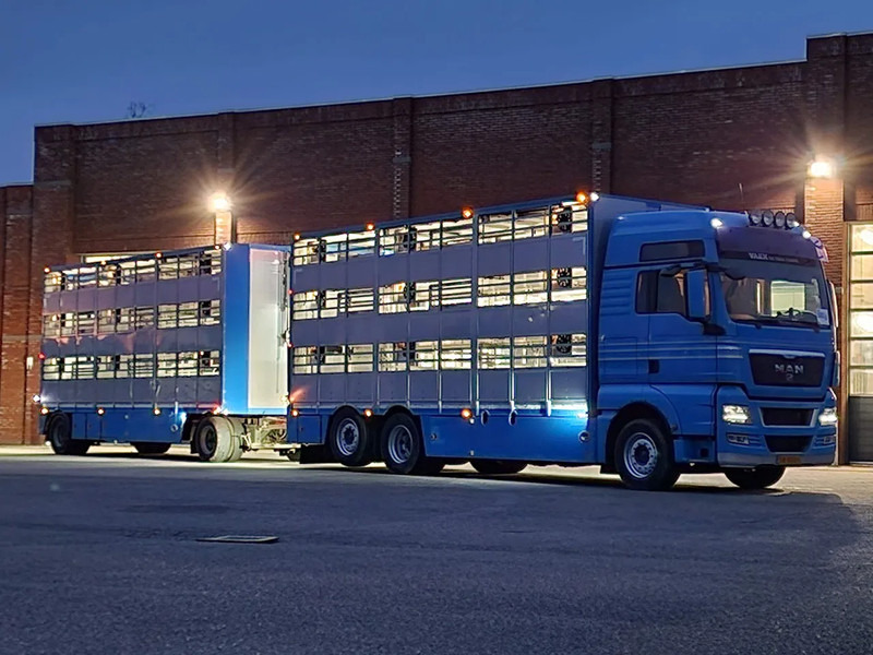 MAN TGX 26.440 6x2*4 - 3 deck Livestock - Water & Ventilation + Jumbo/Bekkers 3 deck trailer - Tiertransporter LKW: das Bild 2 MAN TGX 26.440 6x2*4 - 3 deck Livestock - Water & Ventilation + Jumbo/Bekkers 3 deck trailer - Tiertransporter LKW: das Bild 2