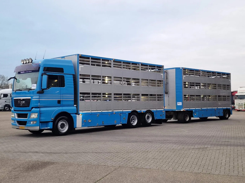 MAN TGX 26.440 6x2*4 - 3 deck Livestock - Water & Ventilation + Jumbo/Bekkers 3 deck trailer - Tiertransporter LKW: das Bild 4 MAN TGX 26.440 6x2*4 - 3 deck Livestock - Water & Ventilation + Jumbo/Bekkers 3 deck trailer - Tiertransporter LKW: das Bild 4