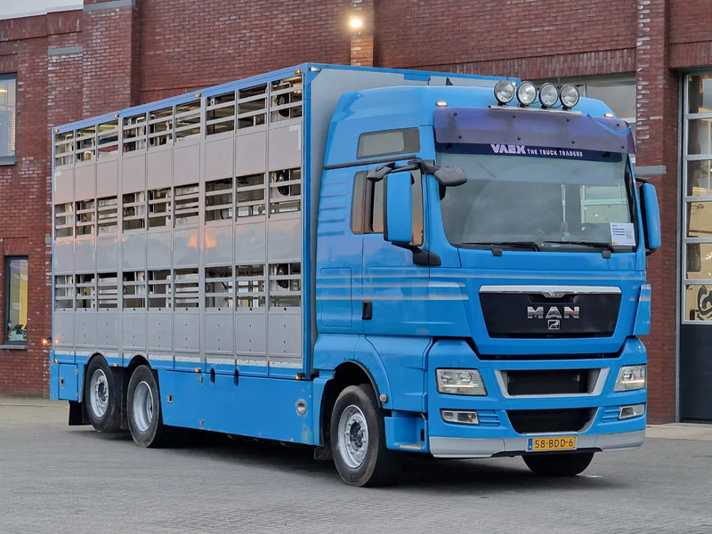 MAN TGX 26.440 6x2*4 - 3 deck Livestock - Water & Ventilation - Manual gearbox - Steering axle - Tiertransporter LKW: das Bild 2 MAN TGX 26.440 6x2*4 - 3 deck Livestock - Water & Ventilation - Manual gearbox - Steering axle - Tiertransporter LKW: das Bild 2