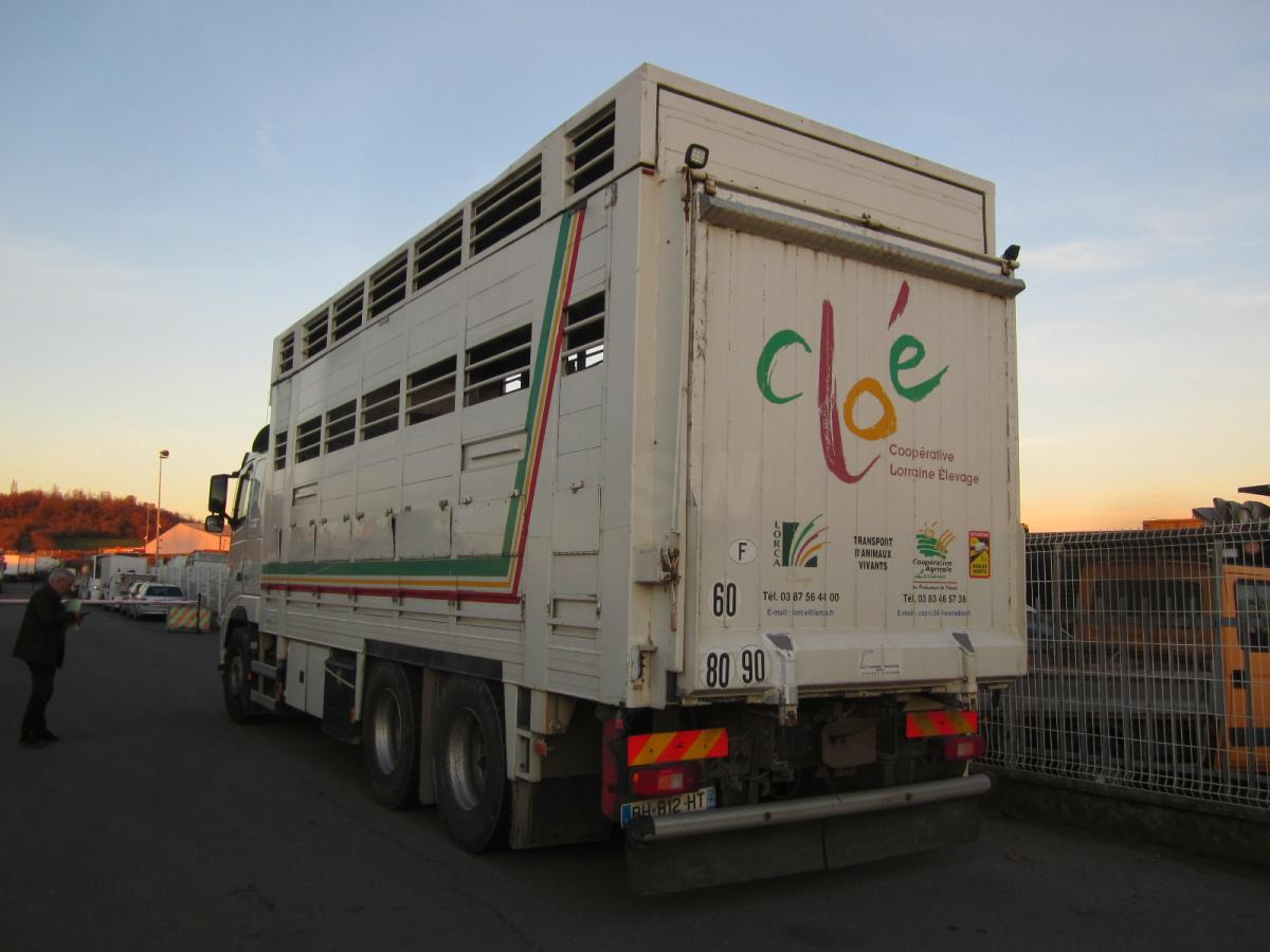 Volvo FH 460 - Tiertransporter LKW: das Bild 5 Volvo FH 460 - Tiertransporter LKW: das Bild 5