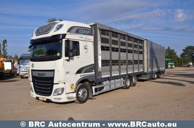 DAF DAF XF XF - Plane LKW: das Bild 1 DAF DAF XF XF - Plane LKW: das Bild 1