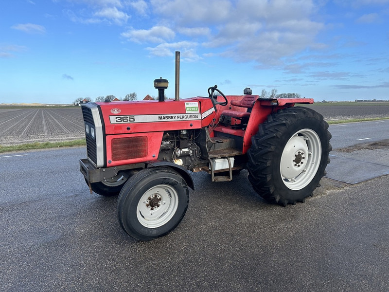 Massey Ferguson 365 - Traktor: das Bild 1 Massey Ferguson 365 - Traktor: das Bild 1