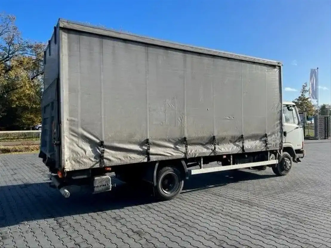 DAF LF 45.160 FA45.160 - Plane LKW: das Bild 3 DAF LF 45.160 FA45.160 - Plane LKW: das Bild 3