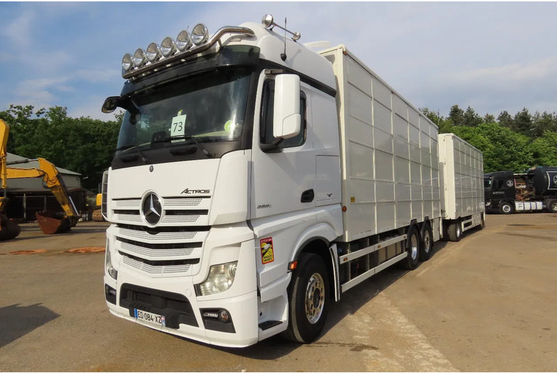 Mercedes-Benz Actros 2551 BERDEX 3 decks, All options + Berdex 12/ 2007 - Tiertransporter LKW: das Bild 3 Mercedes-Benz Actros 2551 BERDEX 3 decks, All options + Berdex 12/ 2007 - Tiertransporter LKW: das Bild 3