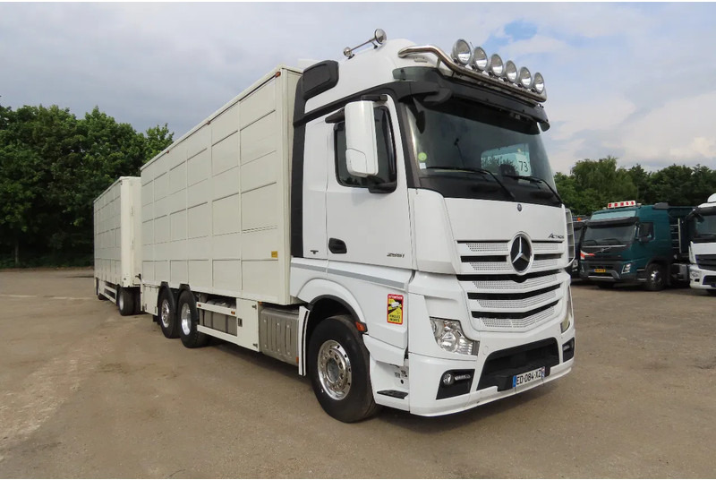 Mercedes-Benz Actros 2551 BERDEX 3 decks, All options + Berdex 12/ 2007 - Tiertransporter LKW: das Bild 1 Mercedes-Benz Actros 2551 BERDEX 3 decks, All options + Berdex 12/ 2007 - Tiertransporter LKW: das Bild 1