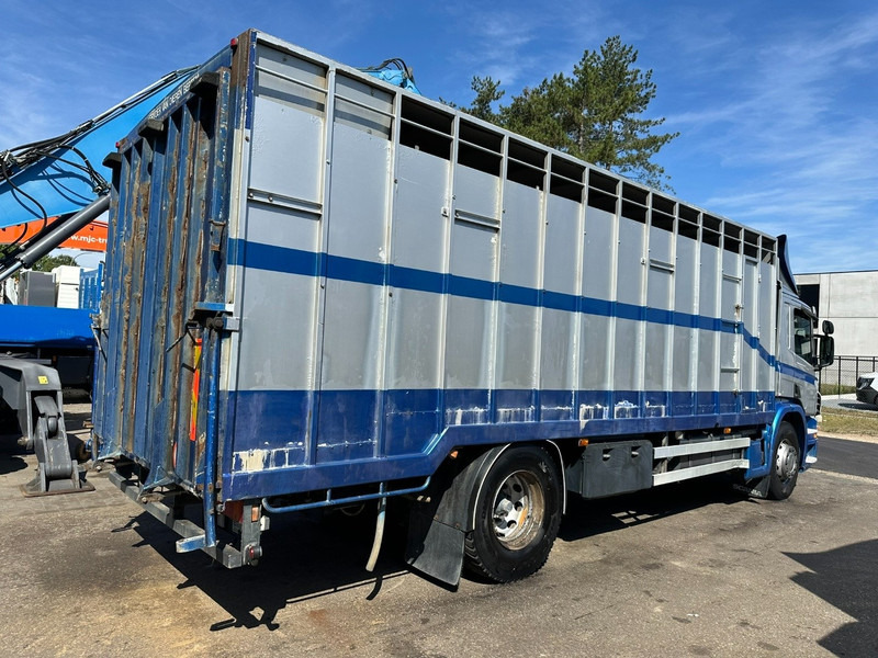 Scania P310 4x2 LIVESTOCK / VEEWAGEN / TIERTRANSPORT / BETAILLERE - ALU BOX 7m - MANUAL - A/C - BELGIAN TRUCK - Tiertransporter LKW: das Bild 5 Scania P310 4x2 LIVESTOCK / VEEWAGEN / TIERTRANSPORT / BETAILLERE - ALU BOX 7m - MANUAL - A/C - BELGIAN TRUCK - Tiertransporter LKW: das Bild 5