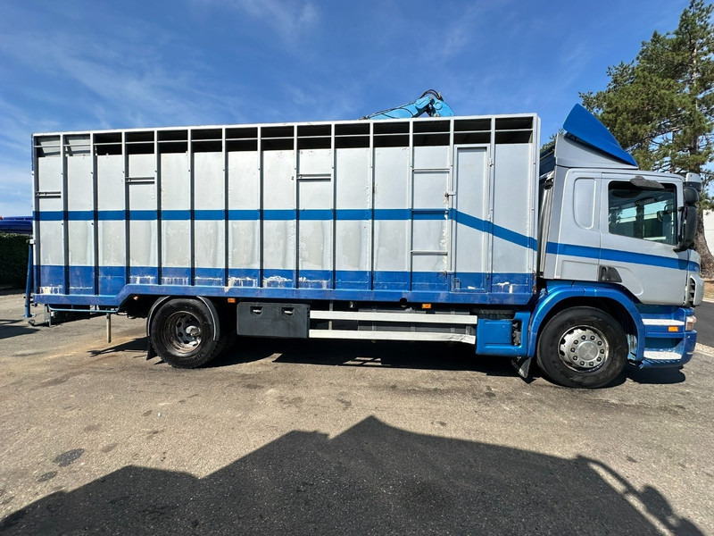 Scania P310 4x2 LIVESTOCK / VEEWAGEN / TIERTRANSPORT / BETAILLERE - ALU BOX 7m - MANUAL - A/C - BELGIAN TRUCK - Tiertransporter LKW: das Bild 4 Scania P310 4x2 LIVESTOCK / VEEWAGEN / TIERTRANSPORT / BETAILLERE - ALU BOX 7m - MANUAL - A/C - BELGIAN TRUCK - Tiertransporter LKW: das Bild 4