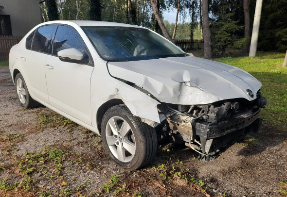 Skoda Octavia - PKW: das Bild 1 Skoda Octavia - PKW: das Bild 1