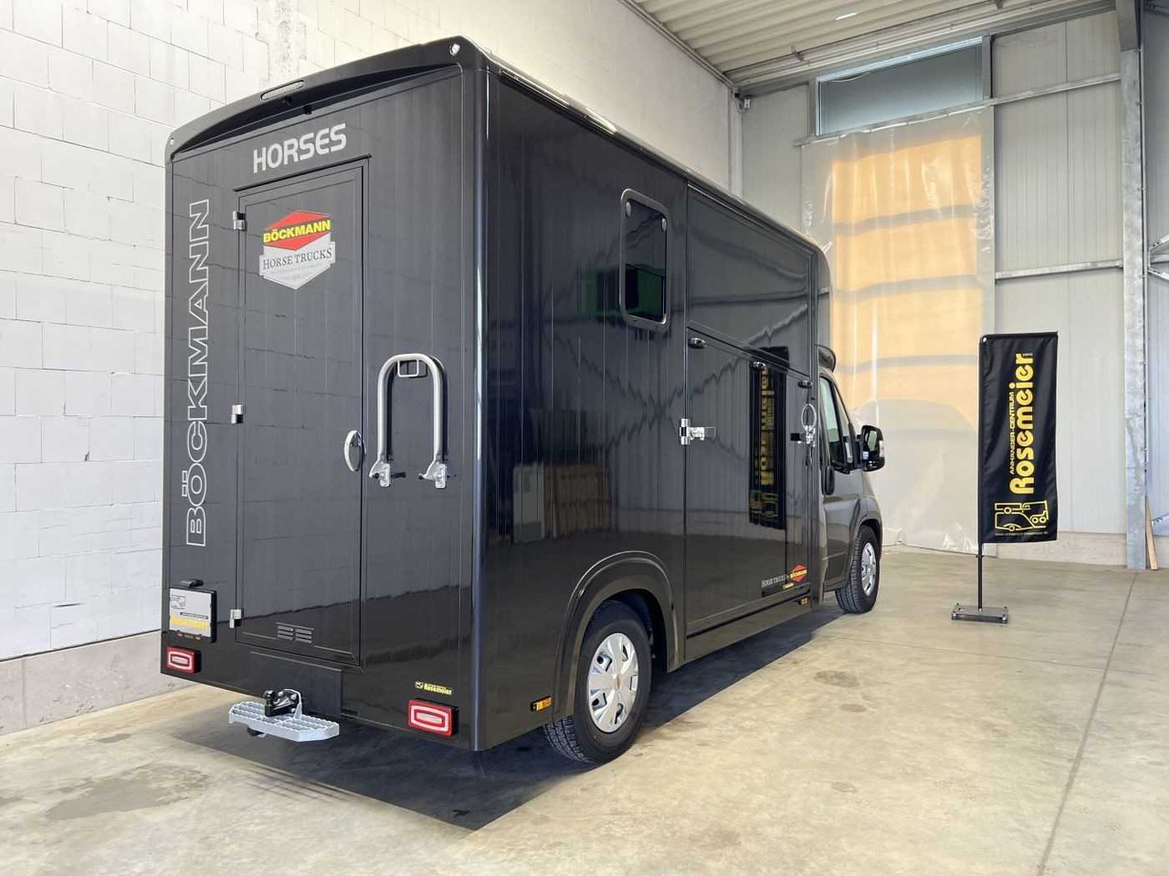 NEU: Pferdetransporter Fiat Böckmann Compact Stall LKW: das Bild 14