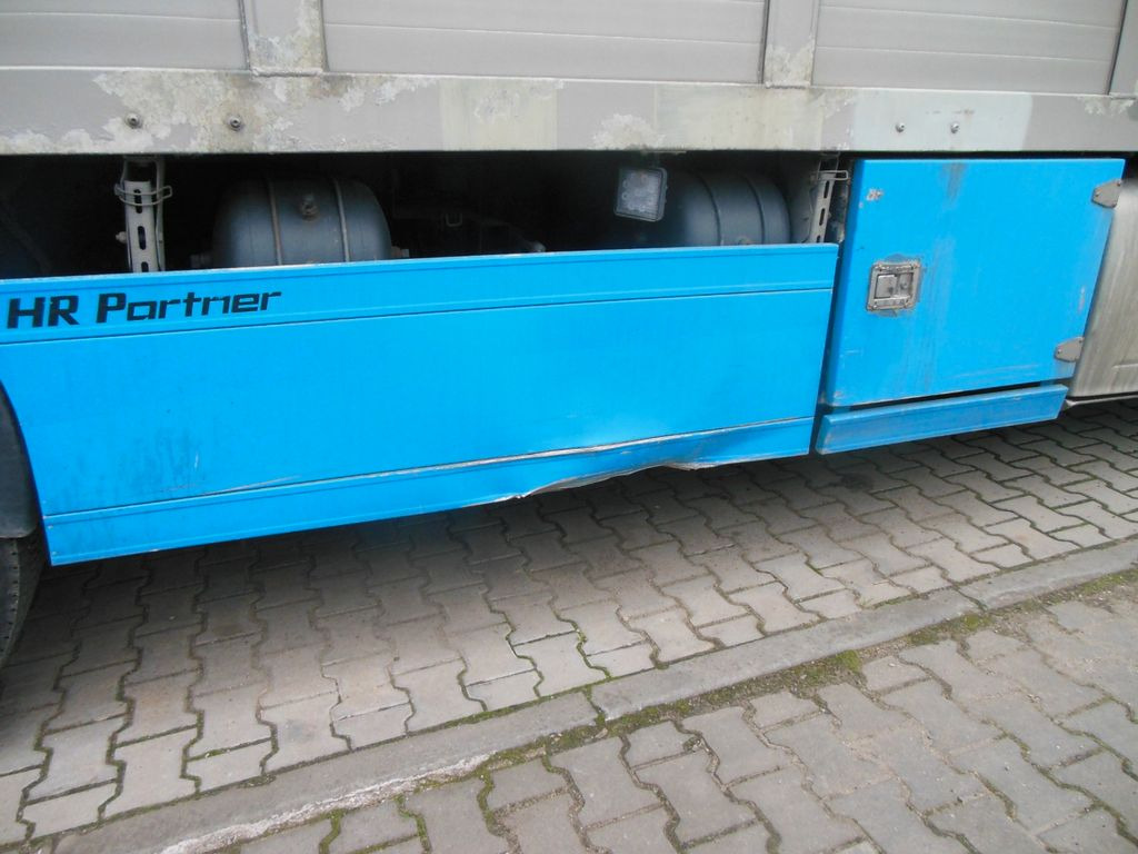Tiertransporter LKW DAF XF 106.460, MENKE-JANZEN, UNFALL-FAHRBAR!!: das Bild 13