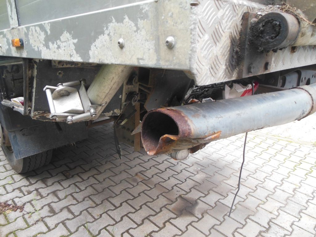 Tiertransporter LKW DAF XF 106.460, MENKE-JANZEN, UNFALL-FAHRBAR!!: das Bild 10