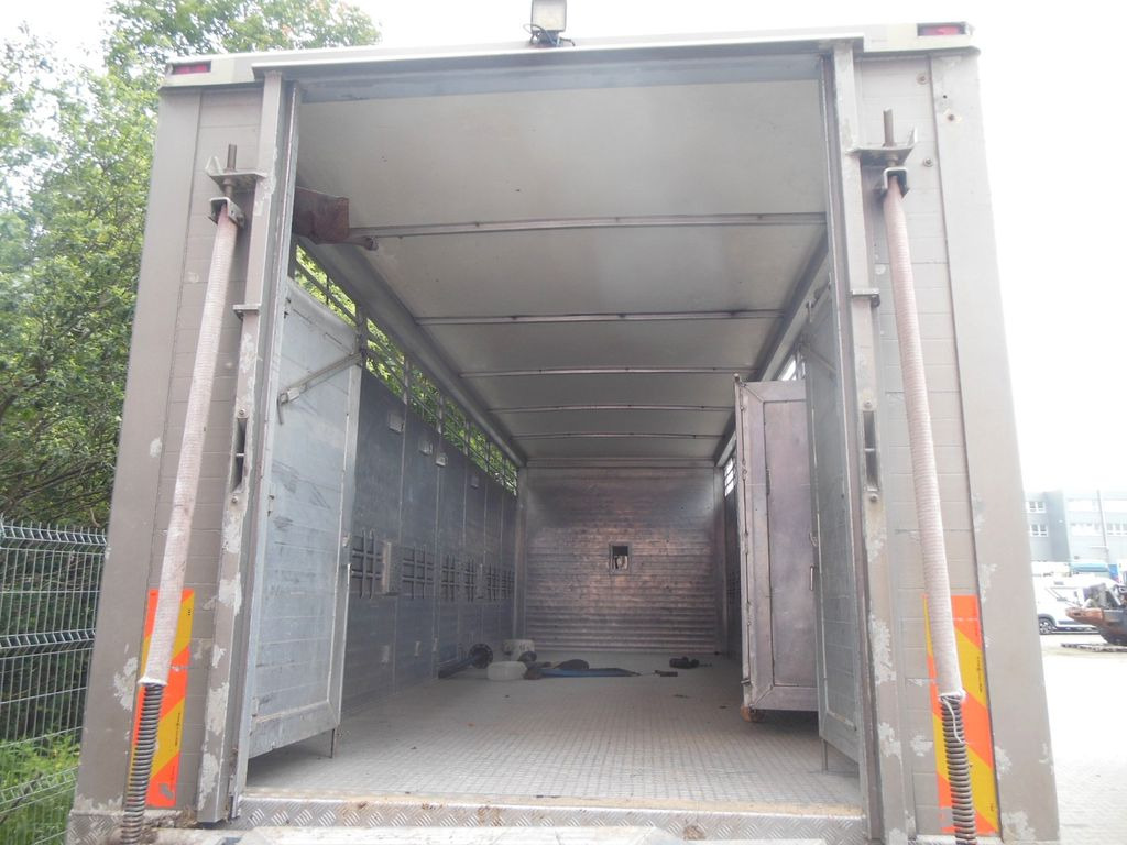 Tiertransporter LKW DAF XF 106.460, MENKE-JANZEN, UNFALL-FAHRBAR!!: das Bild 14