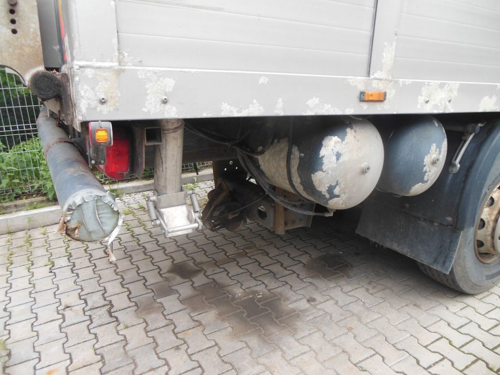 Tiertransporter LKW DAF XF 106.460, MENKE-JANZEN, UNFALL-FAHRBAR!!: das Bild 12