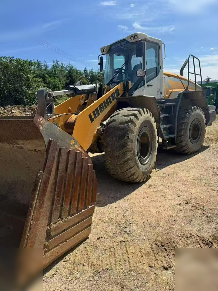 2020 LIEBHERR L550 - Radlader: das Bild 1 2020 LIEBHERR L550 - Radlader: das Bild 1