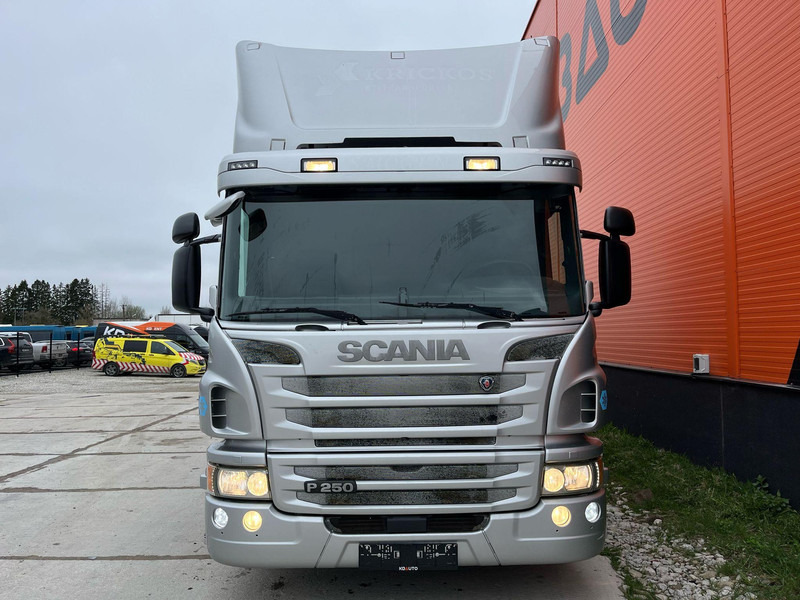 Scania P 250 4x2 THERMOKING / BOX L=6440 mm - Kühlkoffer LKW: das Bild 2 Scania P 250 4x2 THERMOKING / BOX L=6440 mm - Kühlkoffer LKW: das Bild 2