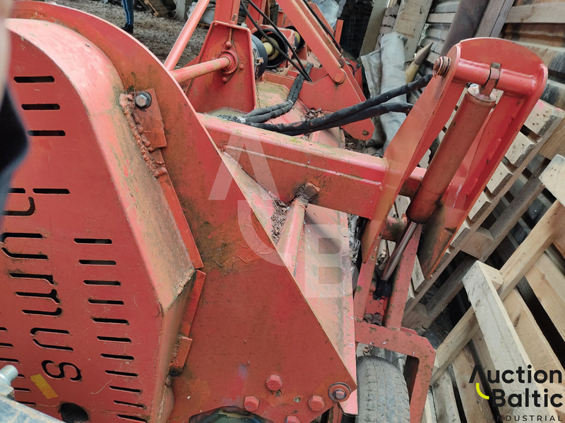 Humus  - Leasing Humus: das Bild 9