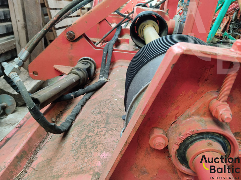 Humus  - Leasing Humus: das Bild 11