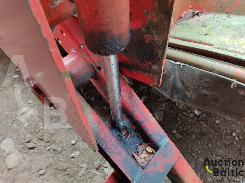 Humus  - Leasing Humus: das Bild 8