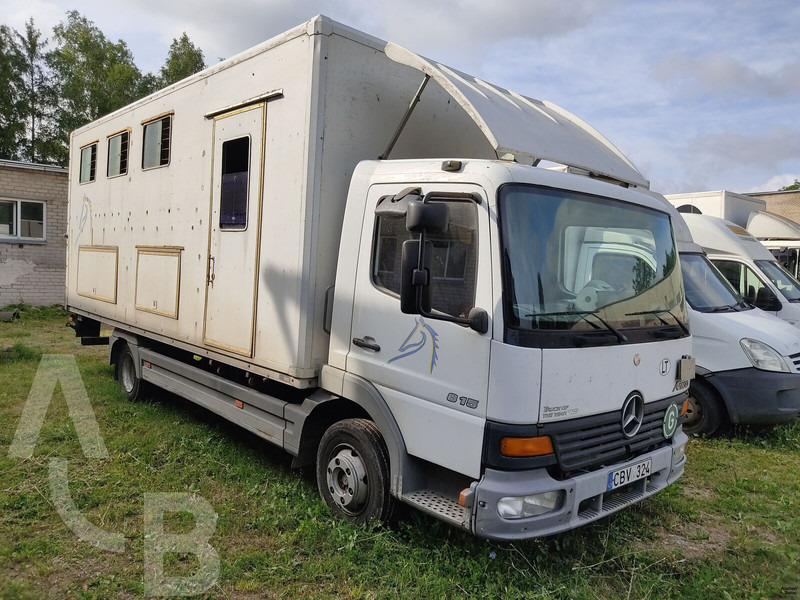 Mercedes-Benz 815 - Pferdetransporter: das Bild 1 Mercedes-Benz 815 - Pferdetransporter: das Bild 1