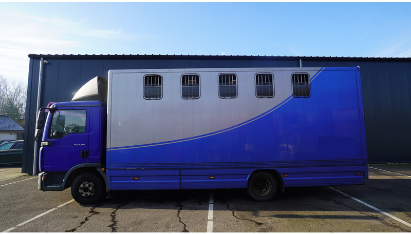 MAN TGL 8.180 HORSE TRANPORT 515.000KM - Pferdetransporter: das Bild 1 MAN TGL 8.180 HORSE TRANPORT 515.000KM - Pferdetransporter: das Bild 1